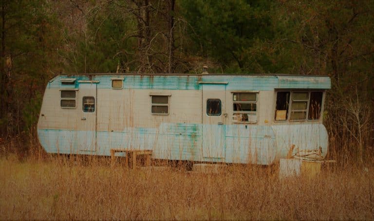 The Wild Truth (2014.): Misterij slavne priče