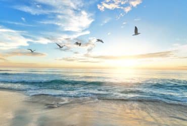 8 razloga zašto je krema za sunčanje toliko važna