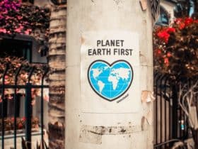Klimatske promjene: 8 načina kako pridonijeti borbi