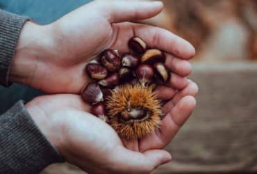 Top 3 jela s kestenom koja morate probati ove jeseni