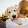 Prvi ste puta vlasnik psa? Evo 5 stvari koje trebate znati