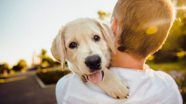 Prvi ste puta vlasnik psa? Evo 5 stvari koje trebate znati