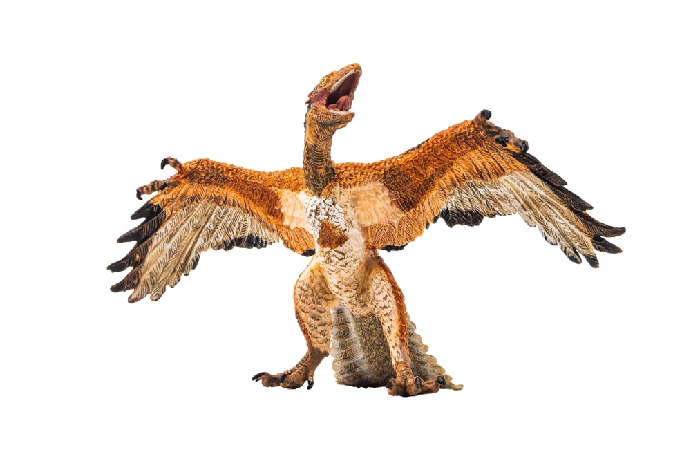 Otkriće Archaeopteryx