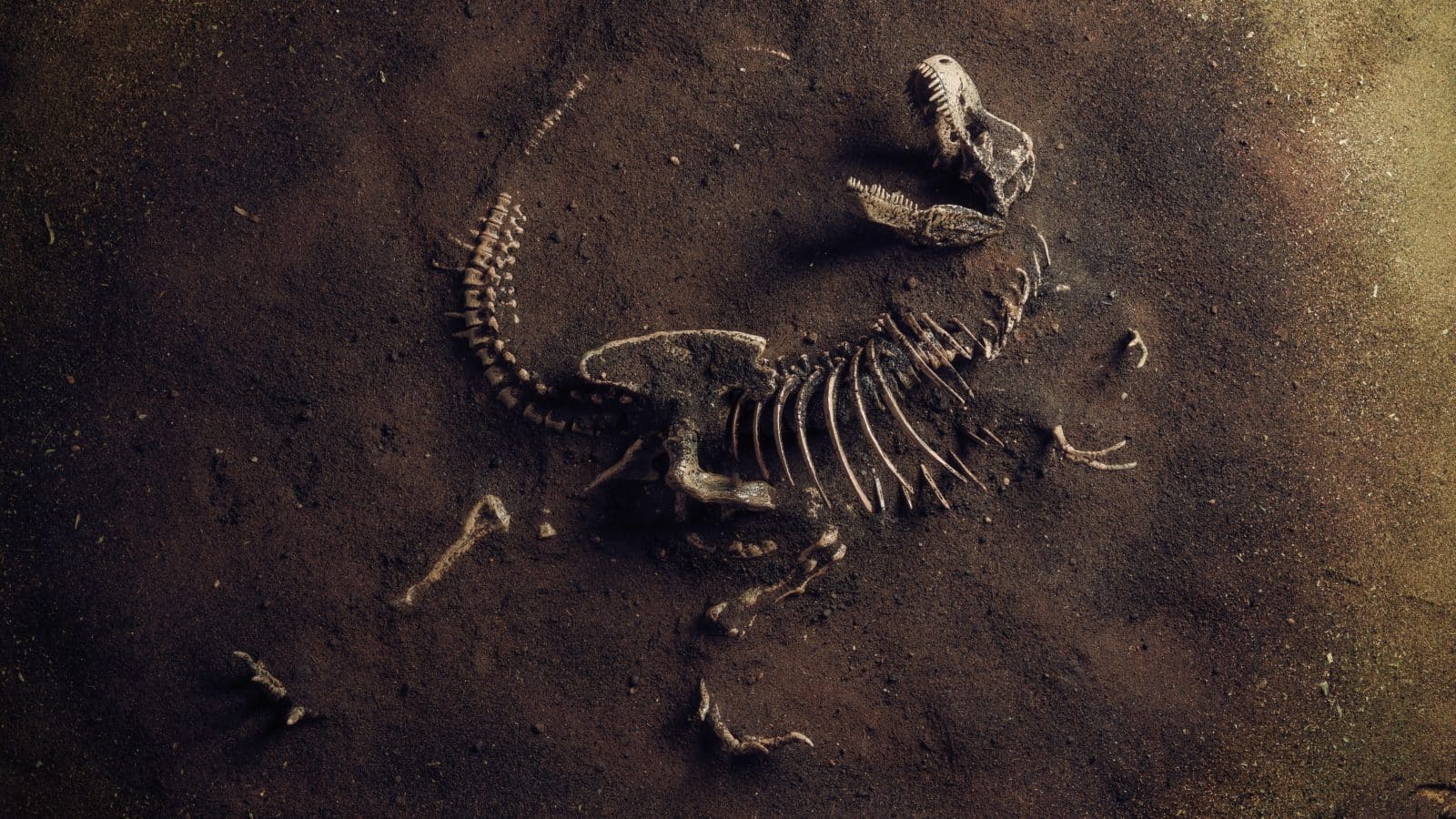Što je paleontologija? Donosimo 11 nevjerojatnih otkrića