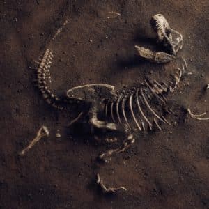 Što je paleontologija? Donosimo 11 nevjerojatnih otkrića