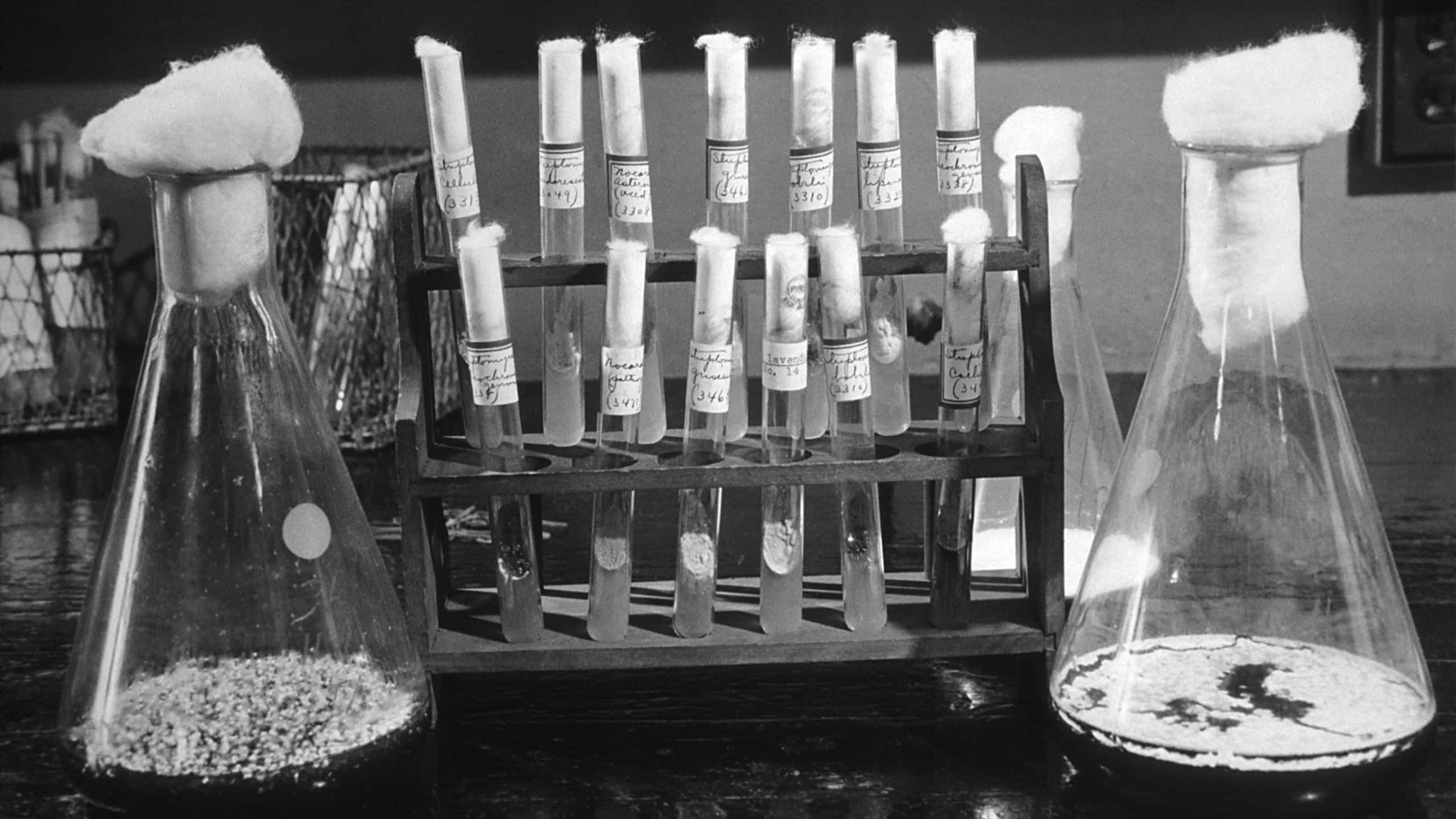 Penicilin: 10 mitova i istina o najpoznatijem antibiotiku
