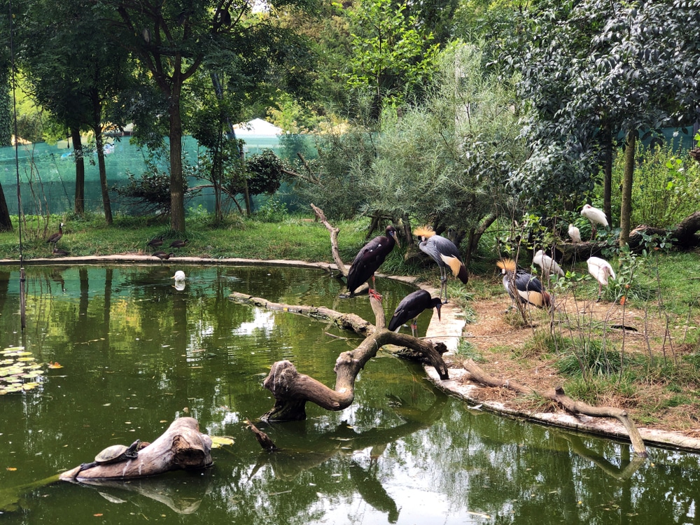Zoološki vrt u Zagrebu